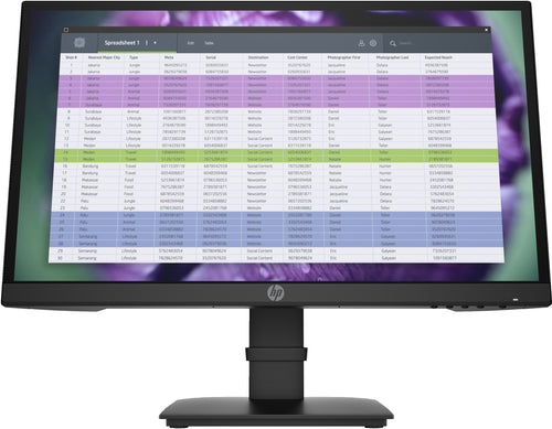 HP P22 G4 - P-Series - LED monitor - Full HD (1080p) - 21.5