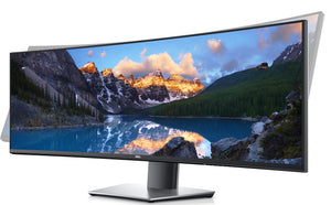 DELL UltraSharp U4919DW - LED monitor - curved - 49