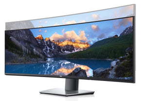 DELL UltraSharp U4919DW - LED monitor - curved - 49