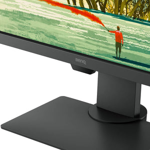 BENQ DesignVue PD2705Q - PD Series - LED monitor - 27"" - HDR